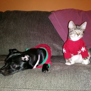 Meet your Posher, Larry